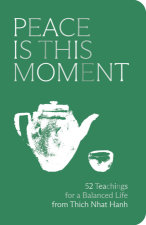 Peace Is This Moment Journal