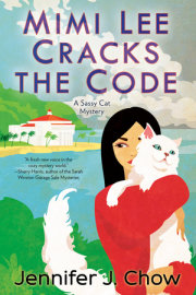Mimi Lee Cracks the Code 