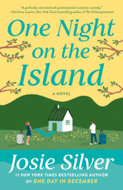One Night on the Island 