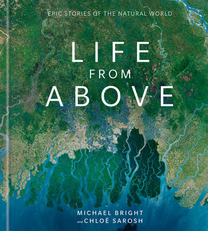 Life From Above By Michael Bright Chloe Sarosh Penguinrandomhouse Com Books