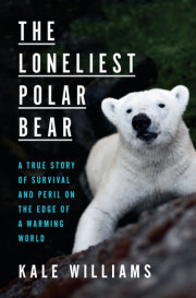 The Loneliest Polar Bear 