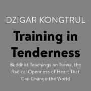 Training in Tenderness 