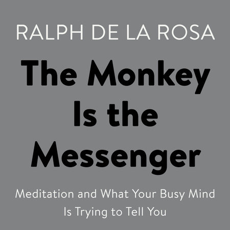 The Monkey Is the Messenger Cover