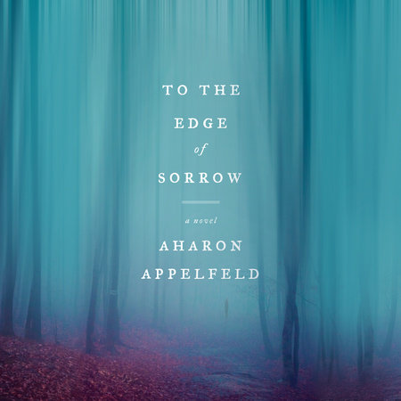 To the Edge of Sorrow by Aharon Appelfeld