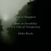 How to Disappear 