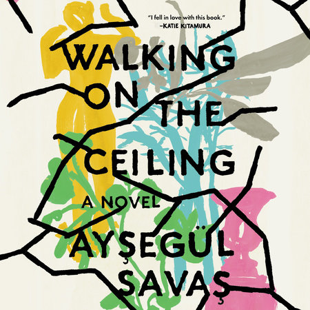 Walking on the Ceiling by Aysegül Savas