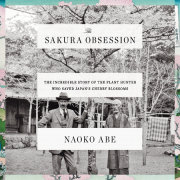 The Sakura Obsession 