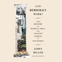 Can Democracy Work? Cover