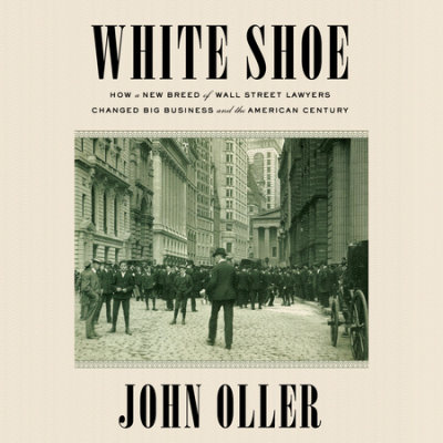 White Shoe cover