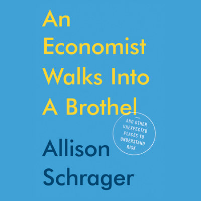 An Economist Walks into a Brothel cover