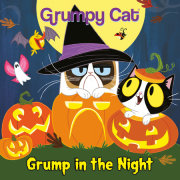 Grump in the Night (Grumpy Cat)