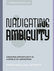 Navigating Ambiguity 