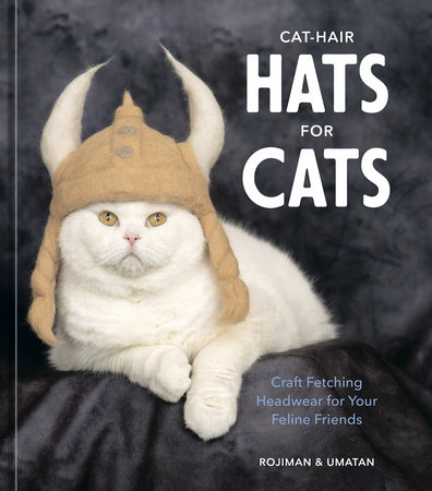 A cat with a hot sale hat