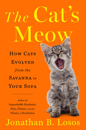 Why Do Cats Meow?