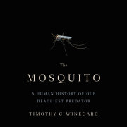 The Mosquito 