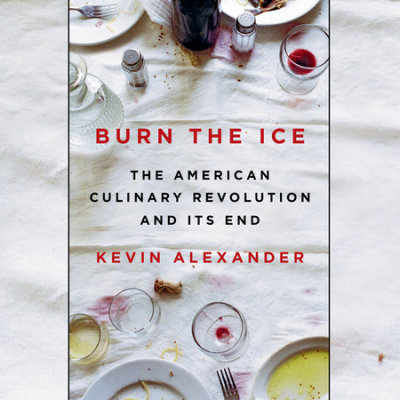 Burn the Ice cover
