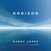 Horizon 
