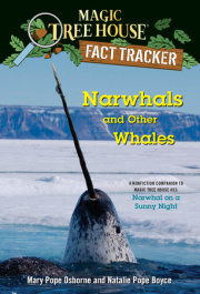 Narwhals and Other Whales 