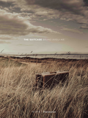 The Suitcase - Author Bruno Aveillan