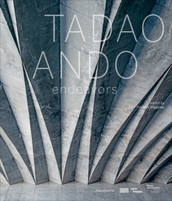 Tadao Ando - Author Tadao Ando and Masao Furuyama, Edited by Frederic Migayrou, Foreword by Bernard Blistene, Preface by Serge Lavisgnes