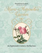 Marie-Antoinette's Garden 
