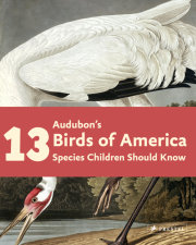 Audubon's Birds of America 
