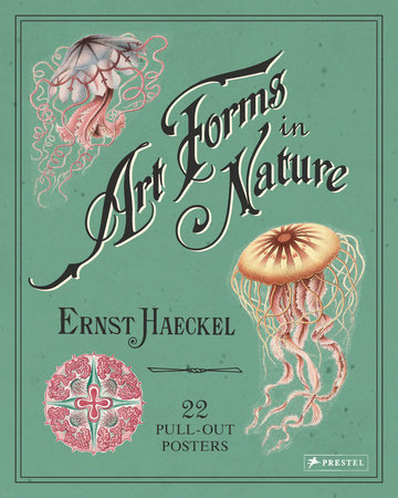 Art Forms Nature by Ernst Haeckel: PenguinRandomHouse.com: Books