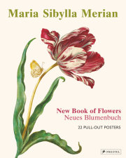 Maria Sibylla Merian 