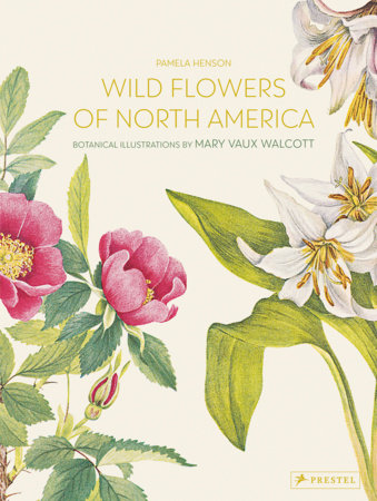 Wild Flowers of North America: 9783791388892 | PenguinRandomHouse.com: Books