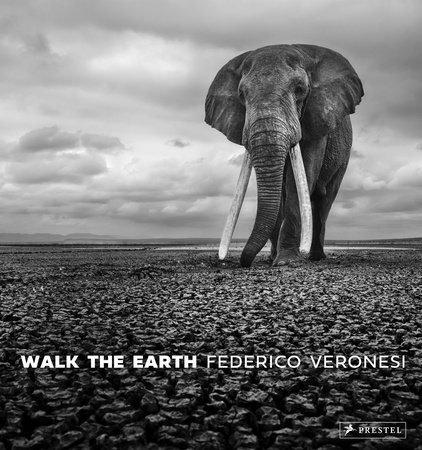 National Geographic The Photographs by National Geographic