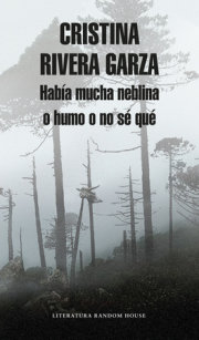 Había mucha neblina o humo o no sé qué: Caminar con Juan Rulfo / There Was a Lot  of Fog, or Smoke, or I'm Not Sure What: Walking with Juan Rulfo 