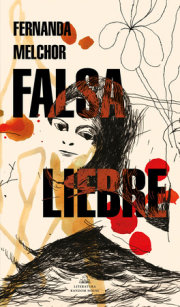 Falsa liebre / False Hare 