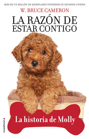 La razón de estar contigo. La historia de Molly / A Dog's Way Home. Molly's History