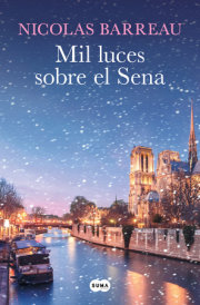 Mil luces sobre el Sena / A Thousand Lights Over the Seine 