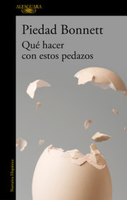 Qué hacer con estos pedazos / What Do We Do with These Pieces? 