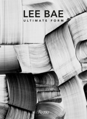 Lee Bae - Edited by Rosa Maria Falvo, Text by Geun-Jun Michael Lim and Valentina Buzzi and Mark Rappolt and Jin Joo Lee