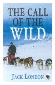 Call of The Wild 