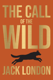 The Call of The Wild 