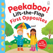 PeeKaBoo! - Lift-the-Flap - First Opposites 