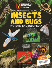 Explore Fantastic World of Insects And Bugs Picture Encyclopedia 