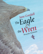 The Eagle & the Wren 