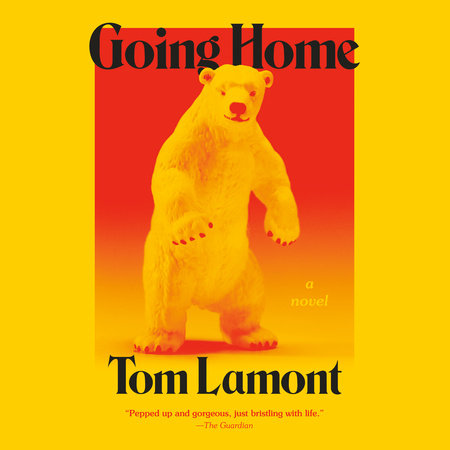 Going Home by Tom Lamont