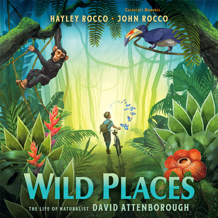 Wild Places by Hayley Rocco