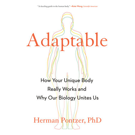 Adaptable by Herman Pontzer PhD