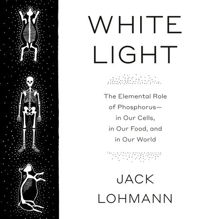 White Light by Jack Lohmann