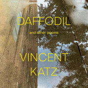 Daffodil 