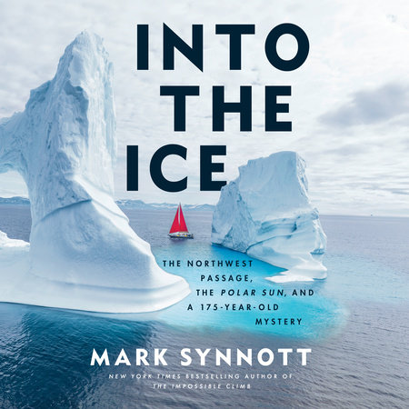 Into the Ice by Mark Synnott
