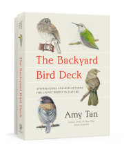 The Backyard Bird Deck 