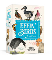 Effin' Birds: 100 Postcards 