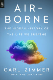 Air-Borne 